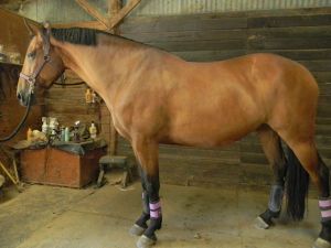 Tally in a much more relaxed attitude, a year after coming home