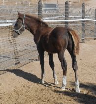 Noble the first time I saw him.