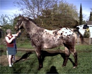 Nash and my mother, on his first day here
