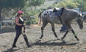 According to the video in question, this position would have Nash rushing around - yet he looks clearly relaxed.