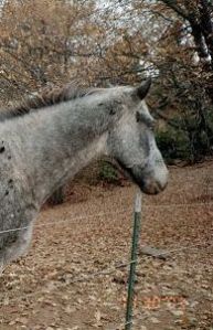 Nash, when we first met him, living alone and emotionally shut down.