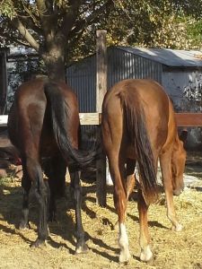 Brief moments like this were all the interaction I had for over a week!