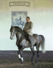 The master Nuno Oliveira was no lightweight, later in life - yet no one would dream of debating whether he had a right to ride the mostly smaller horses he trained - his skill made him little burden to them