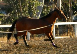 Tally in her unbalanced state - a thing of the past!