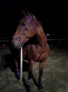 Tally, no longer bothered by shadow goblins