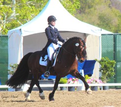 Jessica Wisdom and North Forks Cardi.