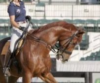 One of the top riders in the world - would you treat a loved one this way?!