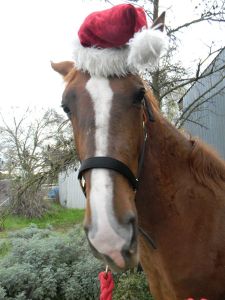 I think his expression rather says it all ...