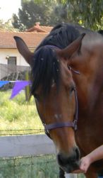 Tally in one of her softer moments.  It took a while before I saw such an expression last night!