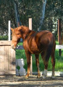 Noble, acting like the bridge that's always leaning there is something brand new!