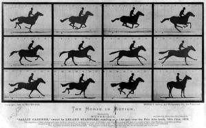 One of many studies in motion done by Muybridge, giving us insight into what our eyes might miss.
