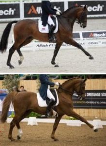 Two top horses that apparently are "mechanically" different from other horses.