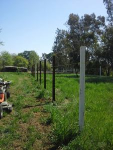 Doesn't everyone build fence on their vacation?