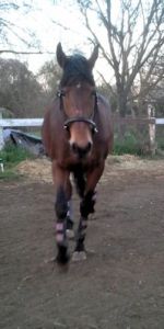 Ready to play now, mom!