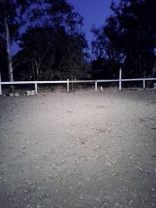 Our now well lighted arena will be appreciated as daylight hours dwindle