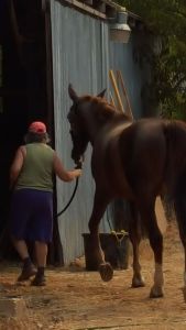 Mom and Noble - what a good boy he's been!