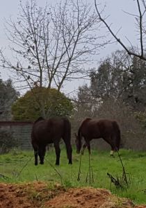 They look so innocent, don't they?