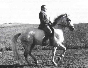 Herbermann-Atlantis-piaffe