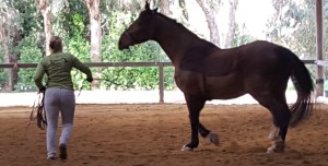 Not just a moment in time - most of this session looked like this.