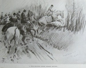 "A WELL TRAINED HORSE SELDOM REFUSES"