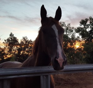 Noble as the sun set on his third birthday.