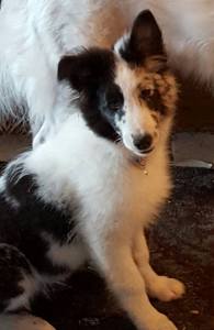 My "little man" Jake.