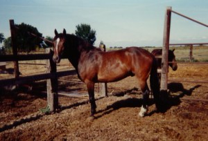 Ricky at 5, the year of his health scare